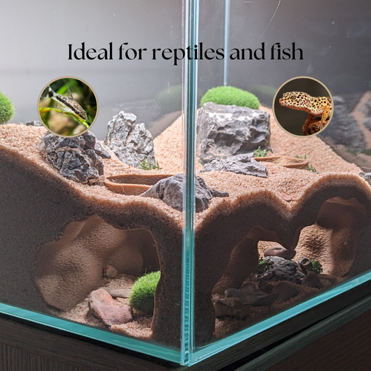 Double Entrance Aquarium and Terrarium Natural Corner Cave
