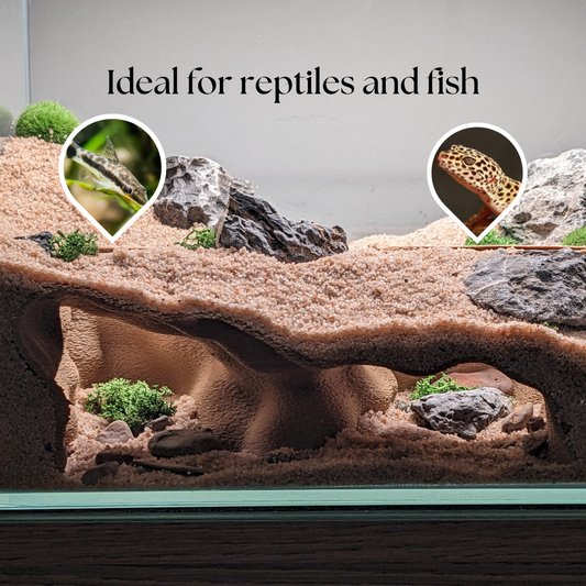 Double Entrance Aquarium and Terrarium Natural Tunnel