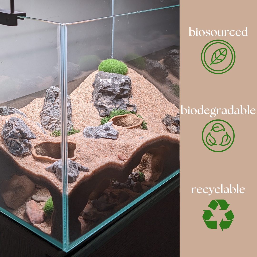 Double Entrance Aquarium and Terrarium Natural Corner Cave