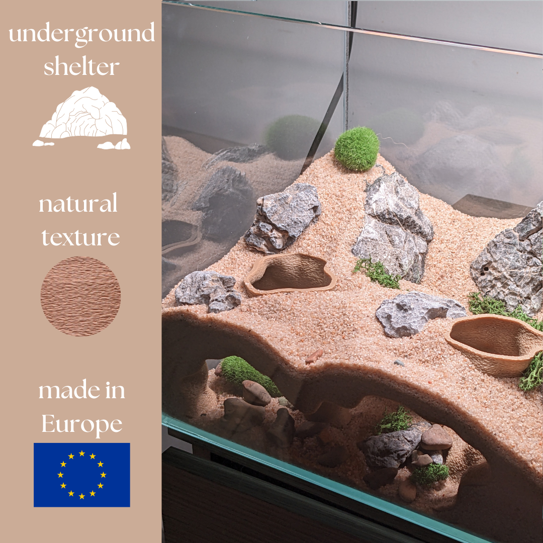 Double Entrance Aquarium and Terrarium Natural Corner Cave