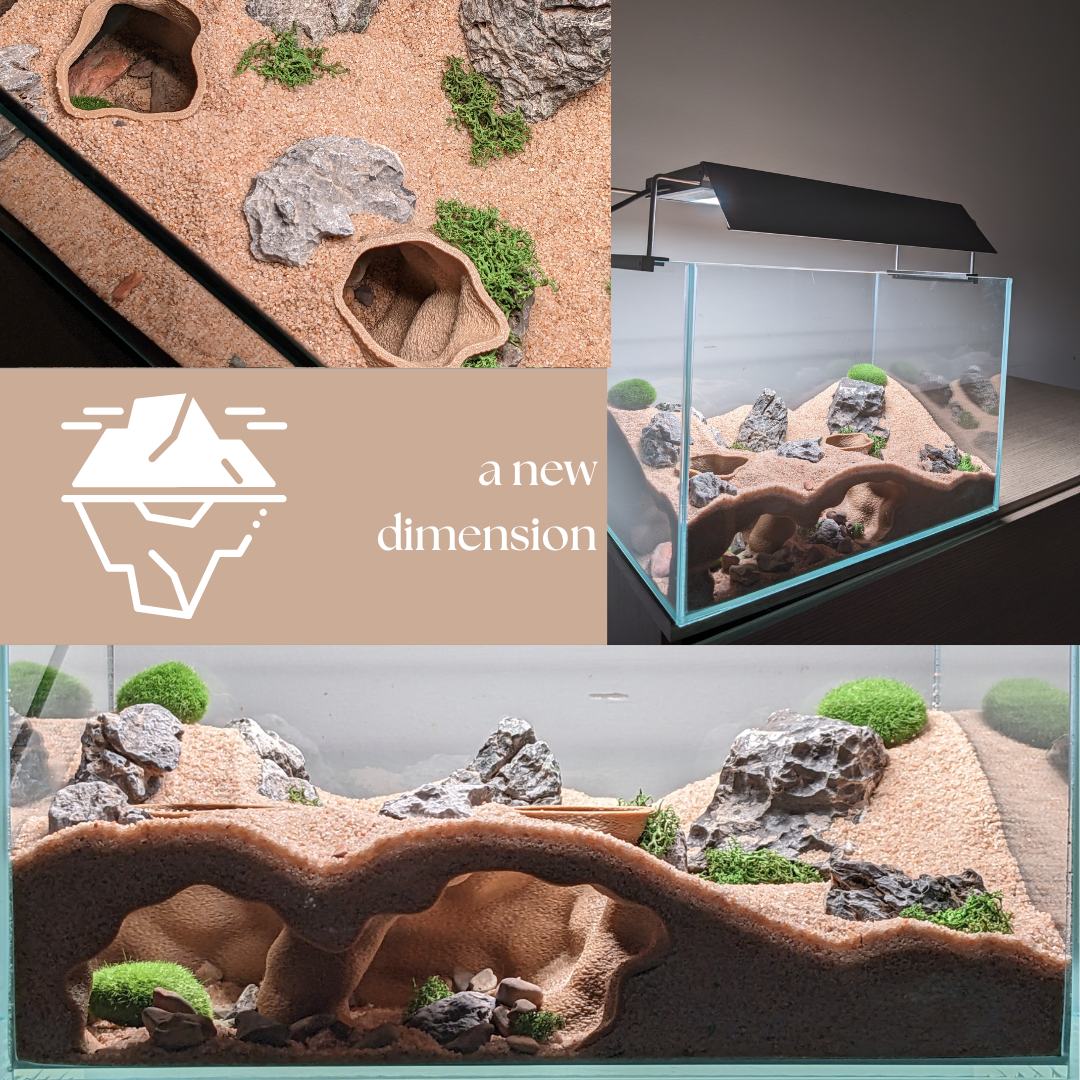 Double Entrance Aquarium and Terrarium Natural Corner Cave