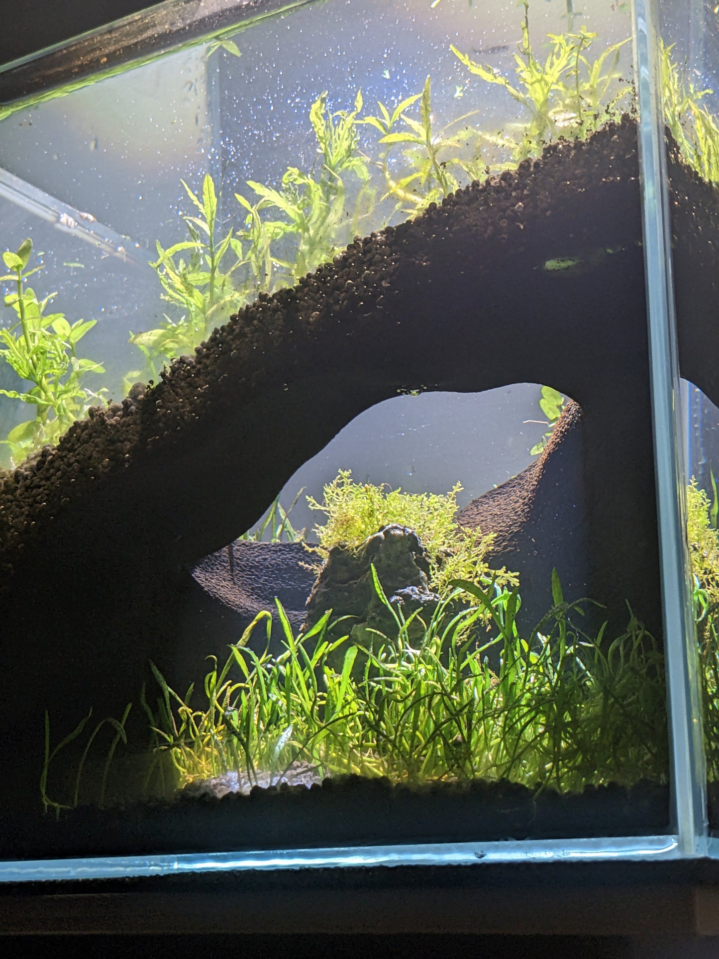 Grotte souterraine naturelle pour aquarium et terrarium