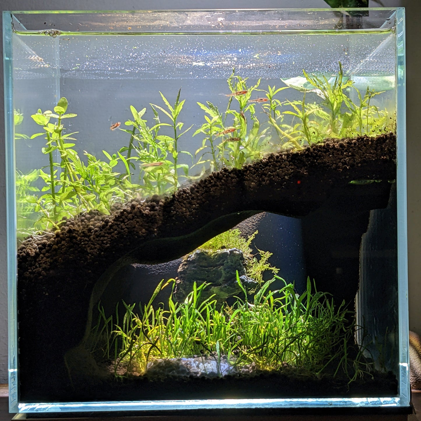 Grotte souterraine naturelle pour aquarium et terrarium