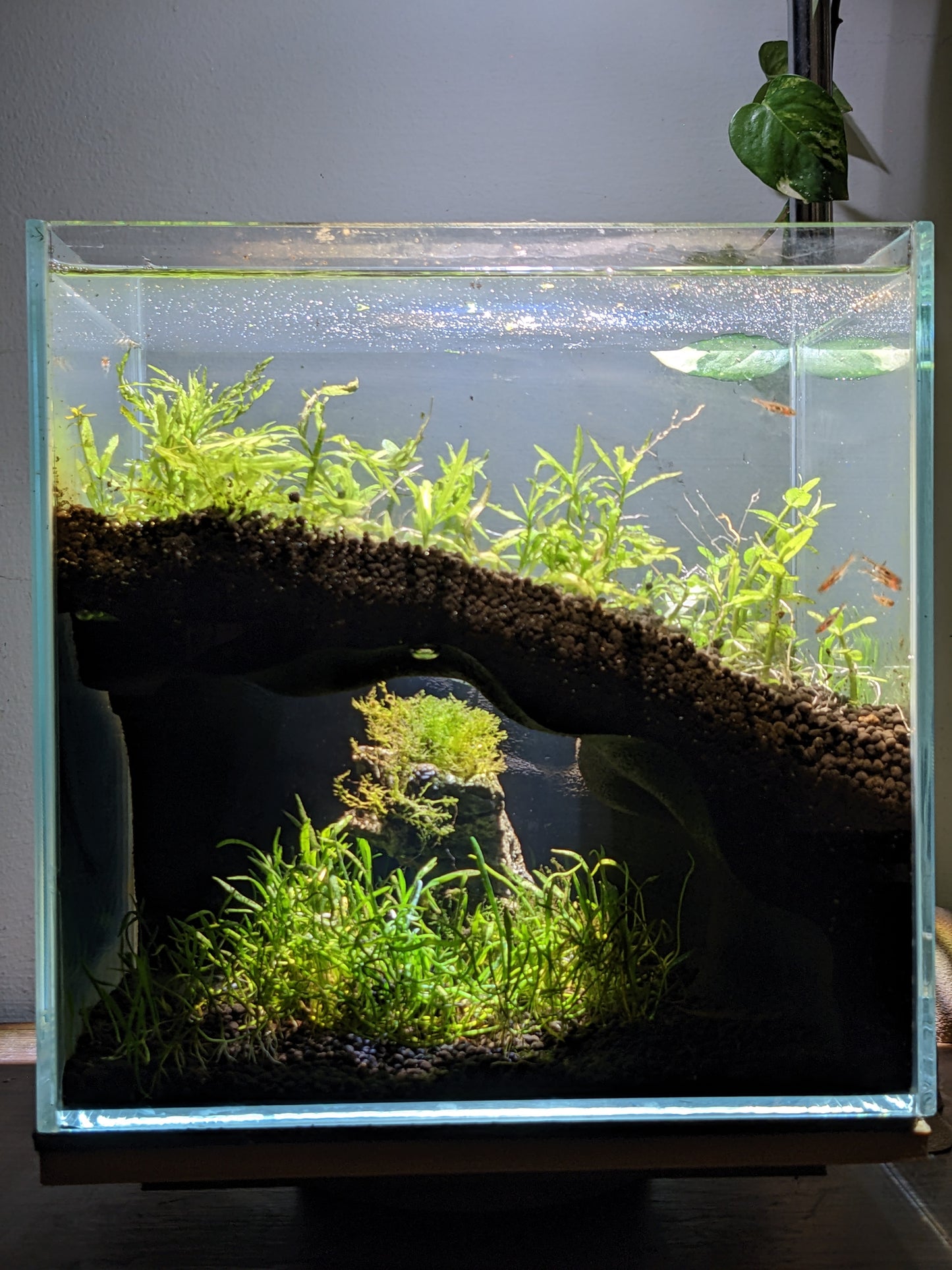 Grotte souterraine naturelle pour aquarium et terrarium