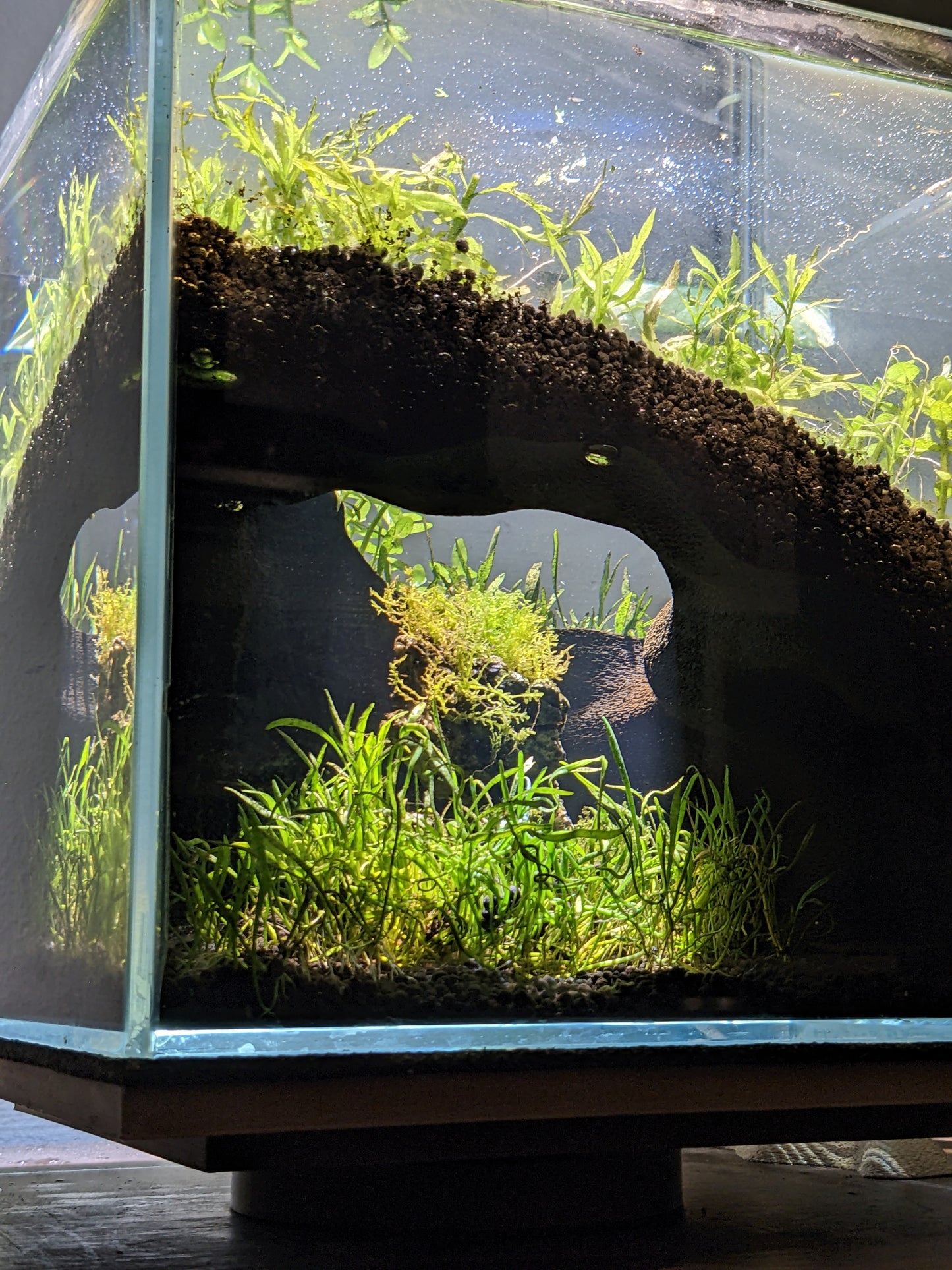 Grotte souterraine naturelle pour aquarium et terrarium