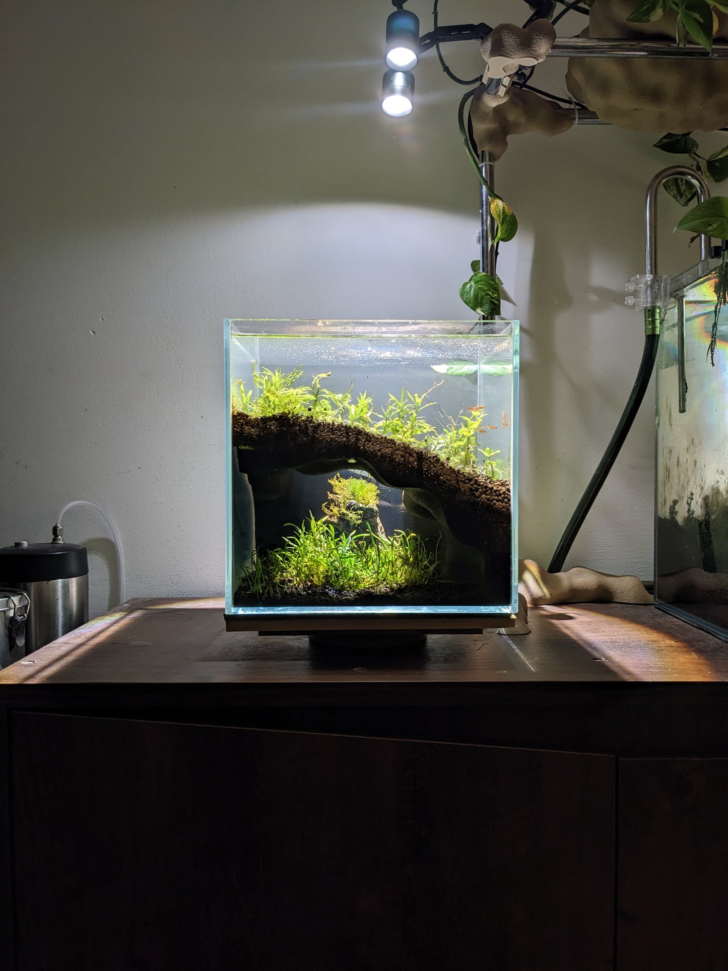 Grotte souterraine naturelle pour aquarium et terrarium