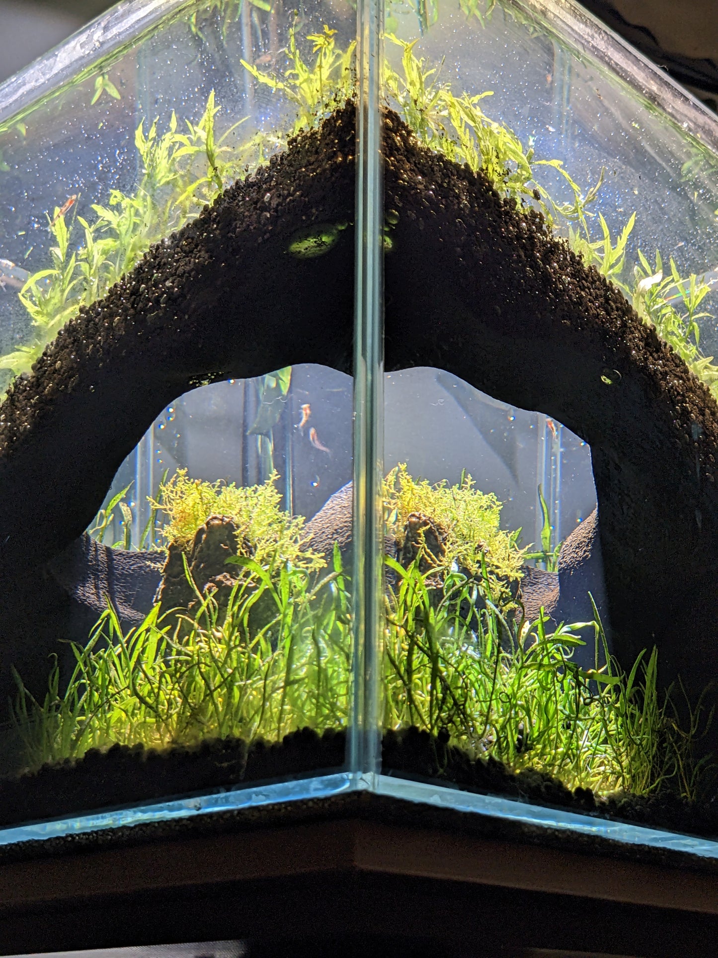 Grotte souterraine naturelle pour aquarium et terrarium