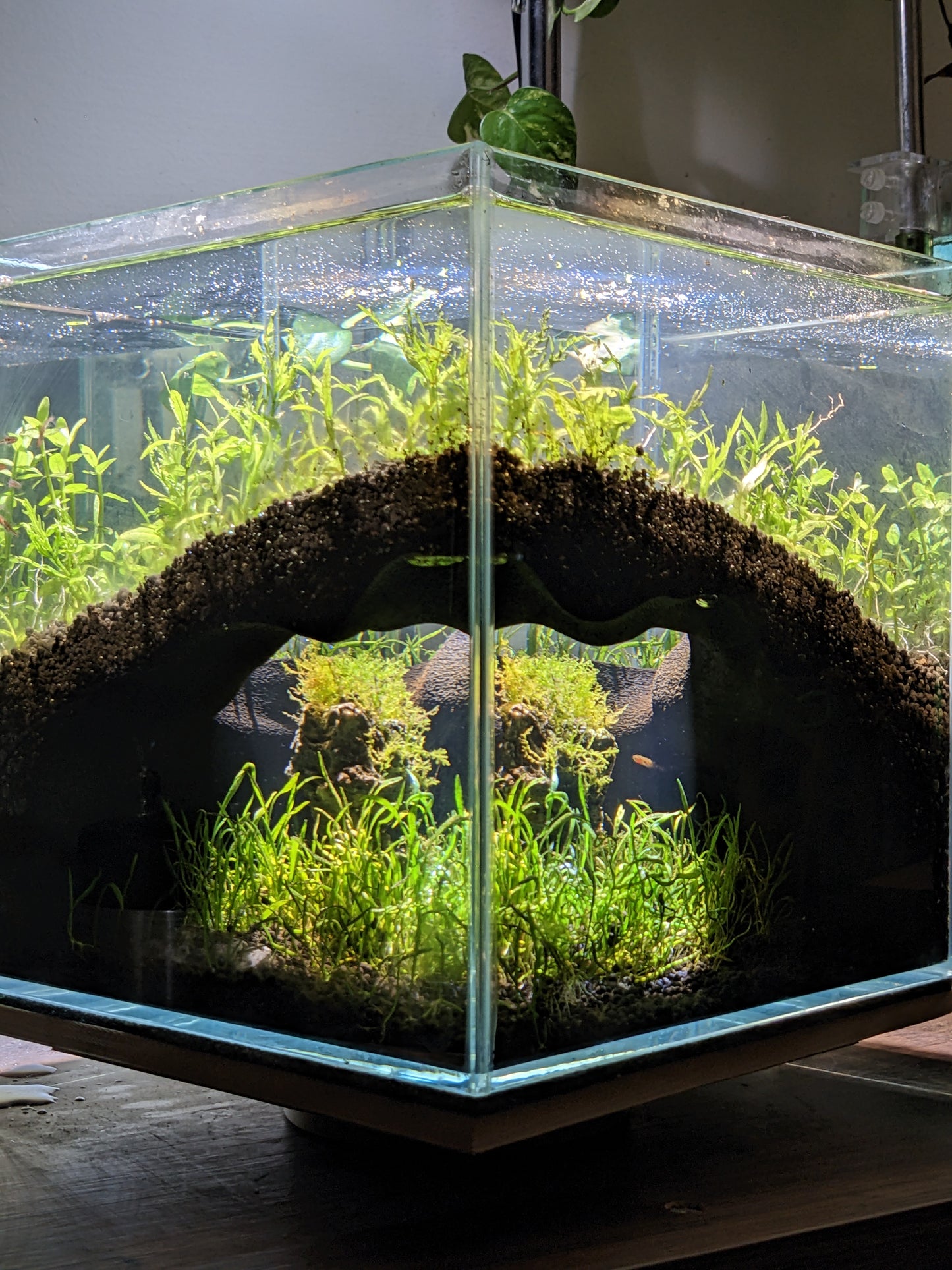 Grotte souterraine naturelle pour aquarium et terrarium