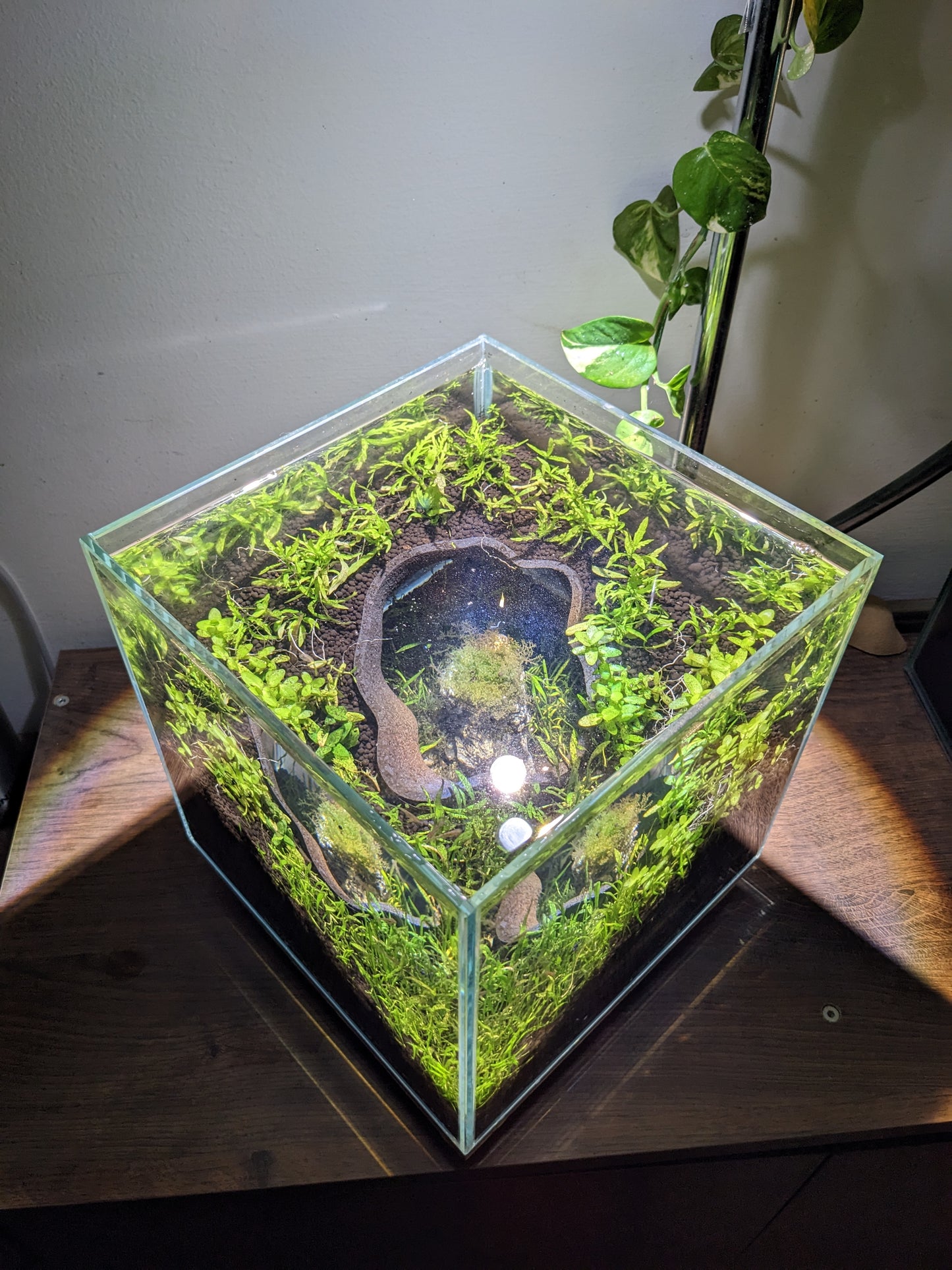 Grotte souterraine naturelle pour aquarium et terrarium