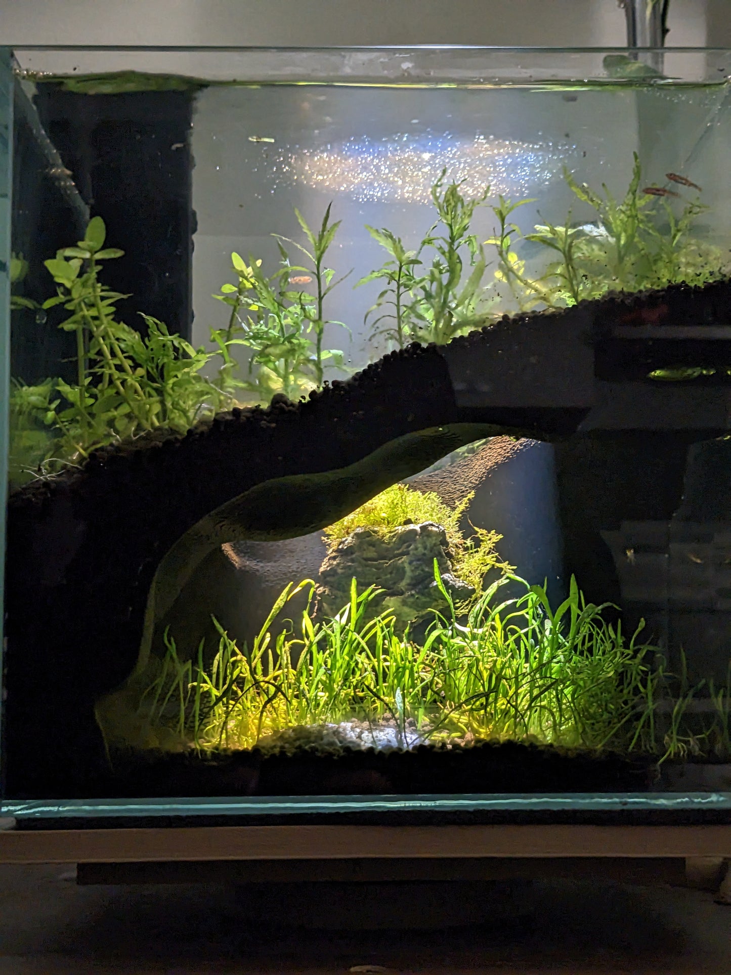 Grotte souterraine naturelle pour aquarium et terrarium